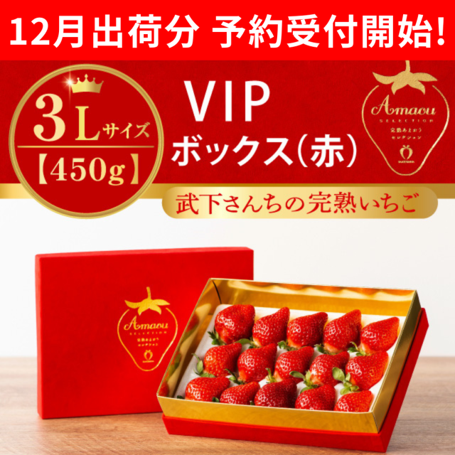 VIP赤_3L450_予約開始