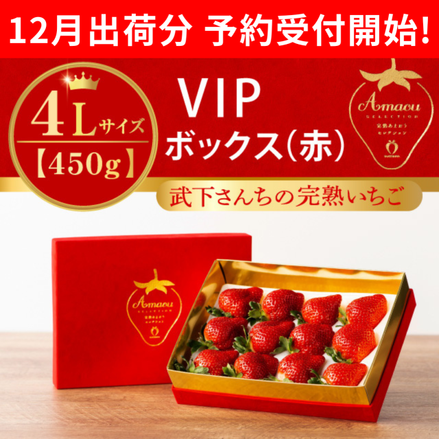 VIP赤_4L450_予約開始