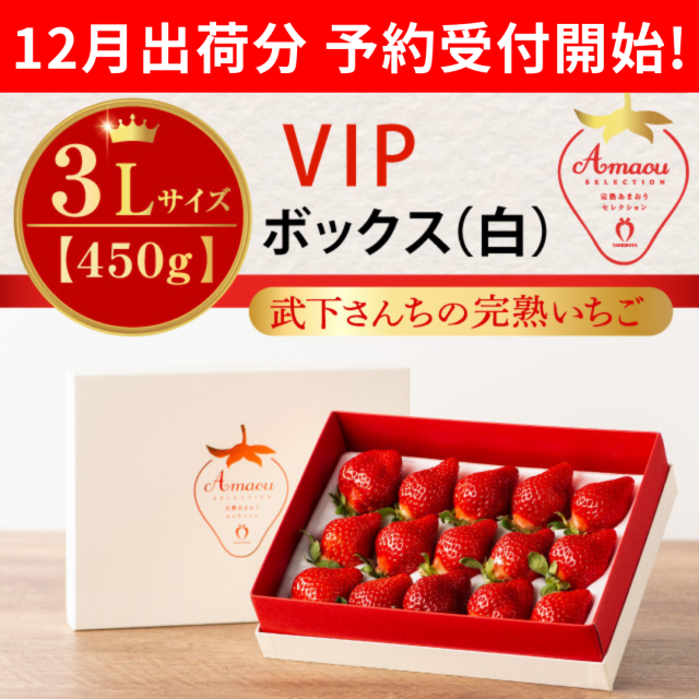 VIP白_3L450_予約開始