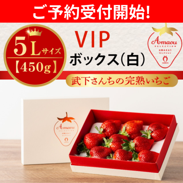 予約受付開始_VIP白5L400g