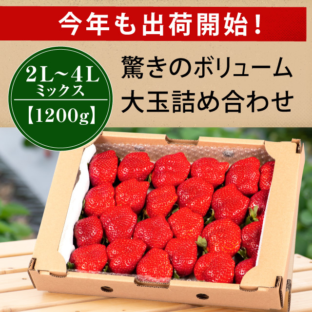 出荷開始！_2L4LMIX1200g