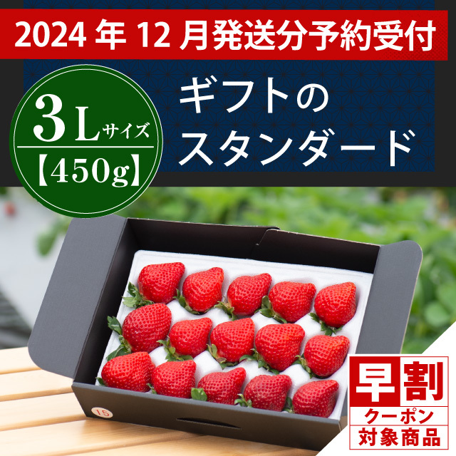 福岡の産直いちご農家 武下さんちのあまおう3Lサイズ450g ギフト 
