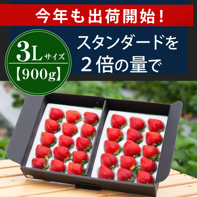 出荷開始！_3L900g