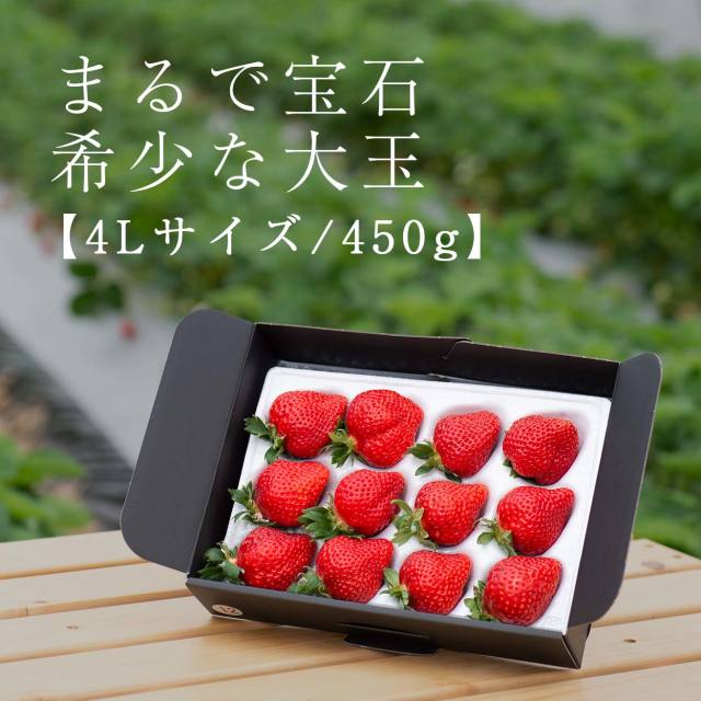 福岡の産直いちご農家 武下さんちのあまおう４lサイズ４５０g入り 希少ギフト