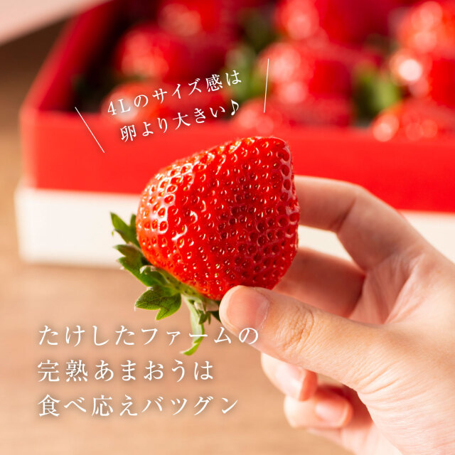 完熟あまおうVIPBOX