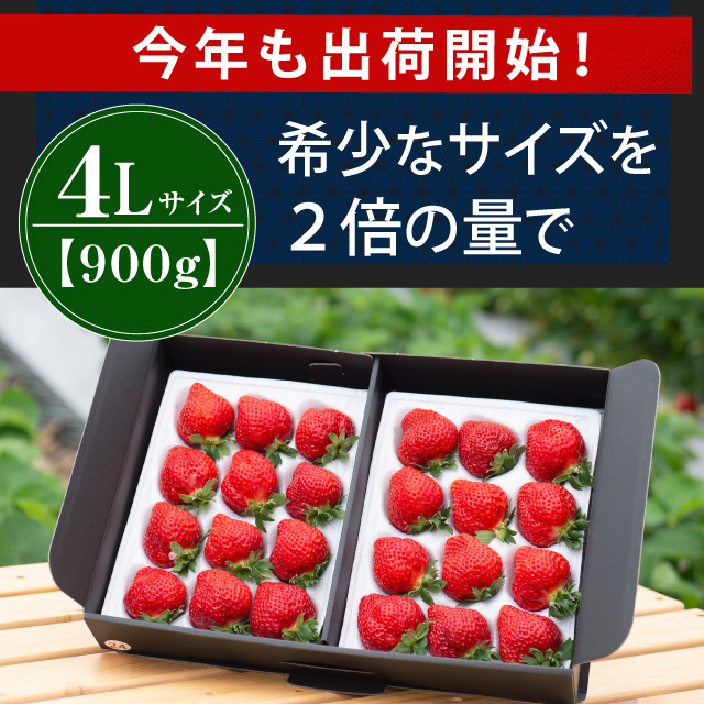 出荷開始！_4L900g