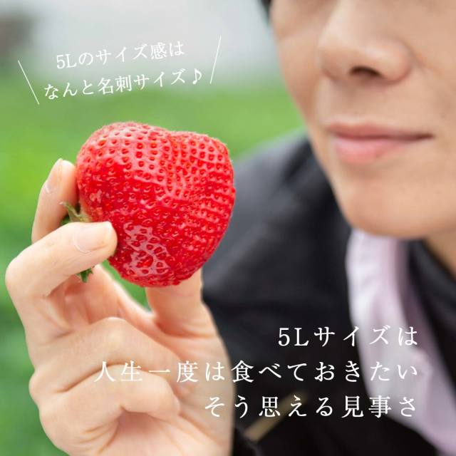 生果5L/450g
