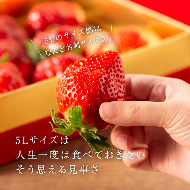 完熟あまおうVIPBOX