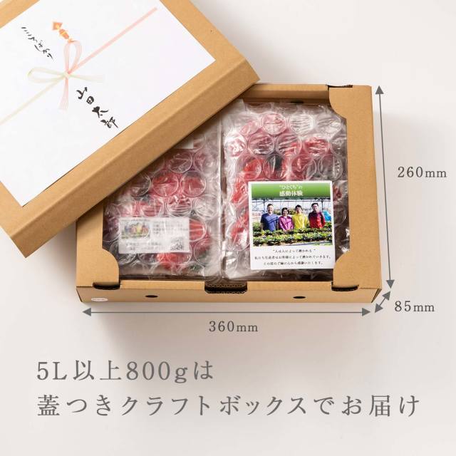 生果5L以上/800g