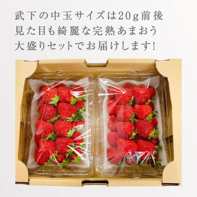 迫力のてんこ盛り！new 大盛セット1000g 食べ応えのあるボリューム感！