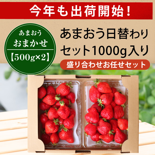 出荷開始！_日替1000g