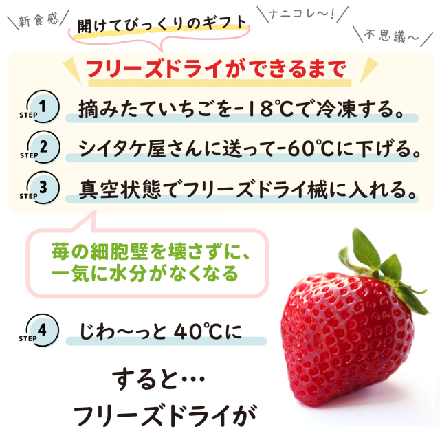 いちご農家の通販ギフト あまおう フリーズドライ 「濃いするあまおう