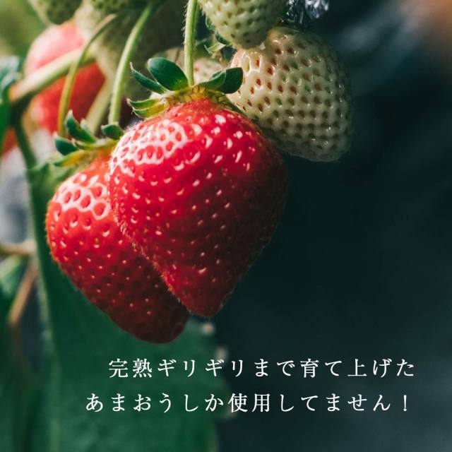 【いちご】 まとめ買い商品 No.778 ＜先行予約受付中！＞3品種いちごの食べ比べセット(約400g