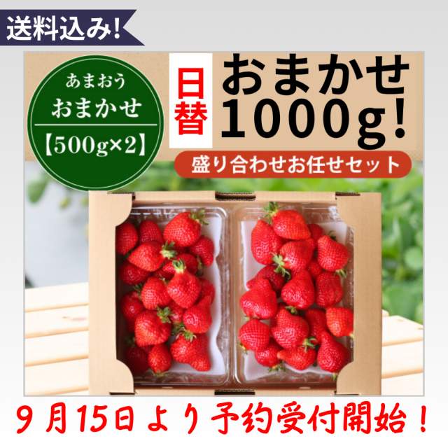 日替り予約