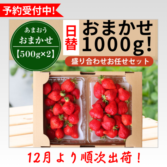 日替_予約受付中