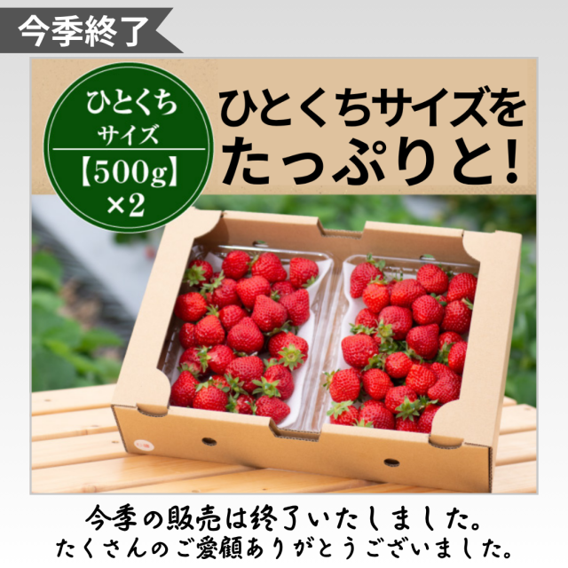 今季終了_小玉1000g