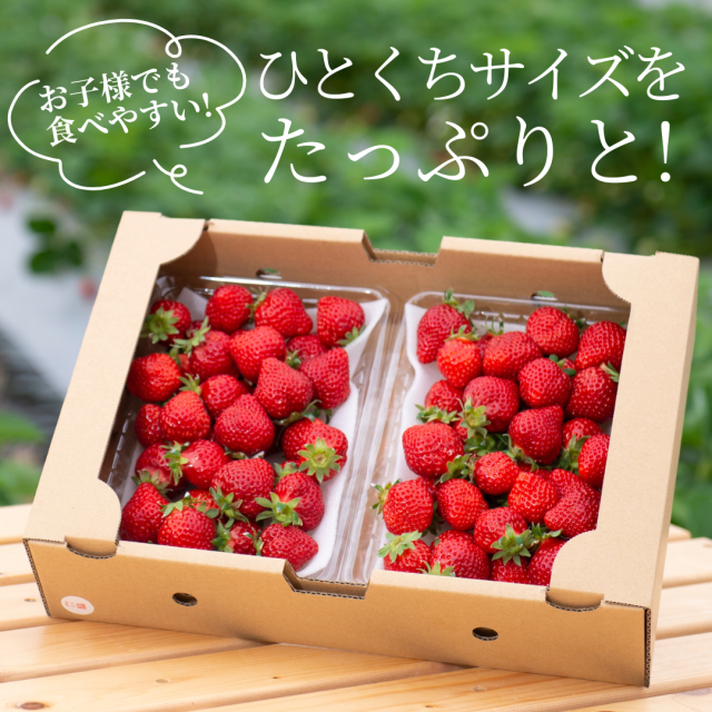 小玉盛り合わせ1000g