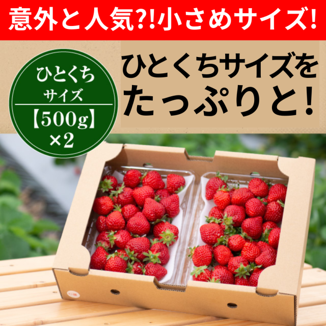 汚れない、小分けし易い！頑張るママ応援！ミニ盛セット 1000g