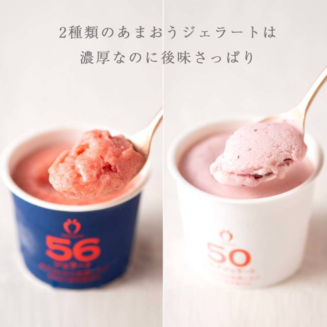 いちご農家の通販ギフト あまおうdeパフェ レギュラーBセット 2名様向け