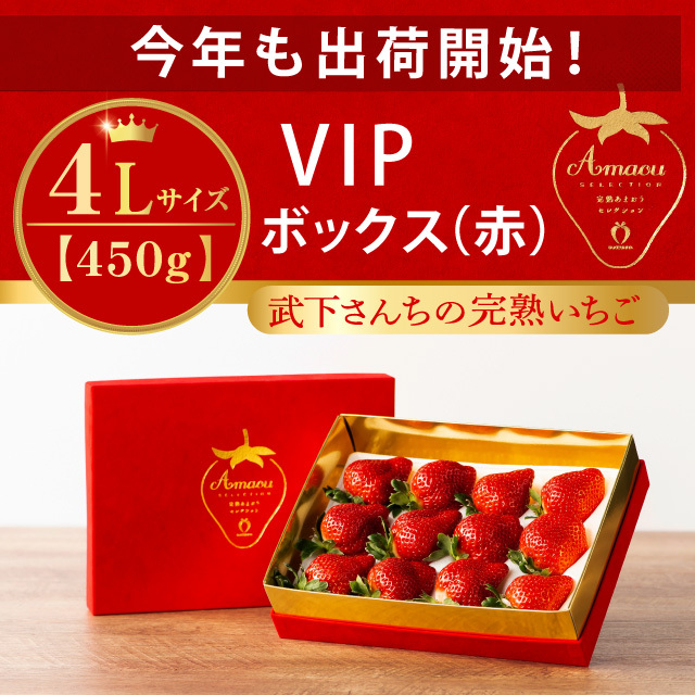 出荷開始！_４L_VIP赤