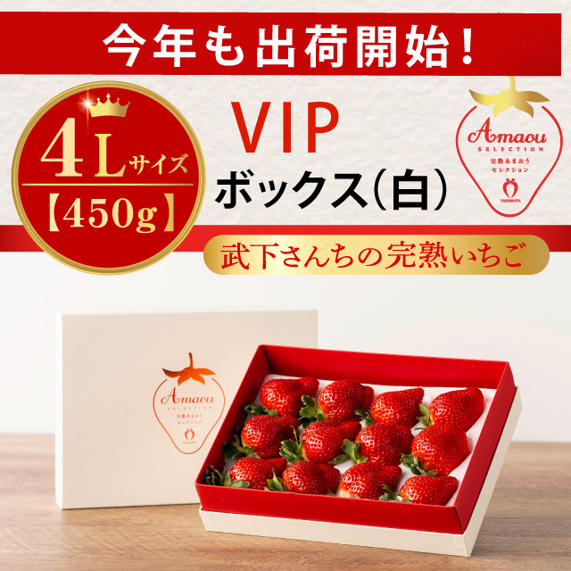 出荷開始！_４L_VIP白