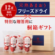 完熟あまおうフリーズドライ