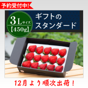 3L450g_予約受付中