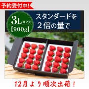 3L900g_予約受付中