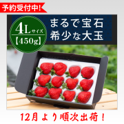 4L450g_予約受付中