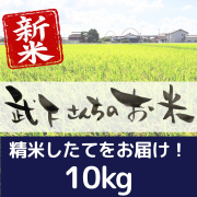 新米10kg