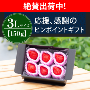 絶賛出荷中_3L150