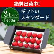 絶賛出荷中_3L450