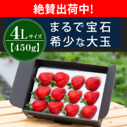 絶賛出荷中_4L450