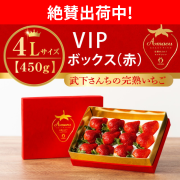 絶賛出荷中_VIP赤_4L450