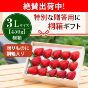 絶賛出荷中_桐箱_3L450