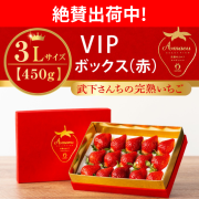 高級VIPボックスギフト