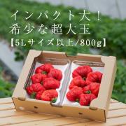 あまおう生果 | 楽農ファームたけした