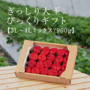 5kg 冷凍完熟博多あまおうMIX あまおう生果 | 楽農ファームたけした