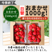 今季終了_日替1000g