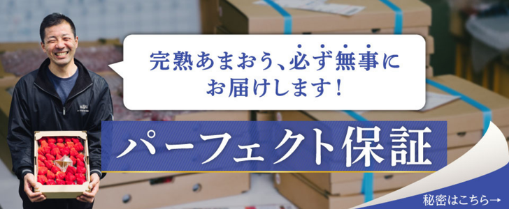 パーフェクト保証