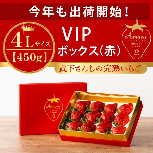 出荷開始！_４L_VIP赤