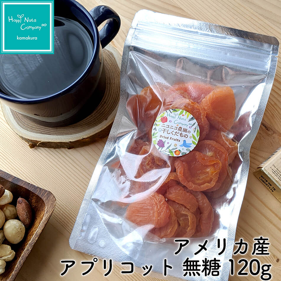 アプリコット ドライフルーツ 栄養 アメリカ産 無糖 120g