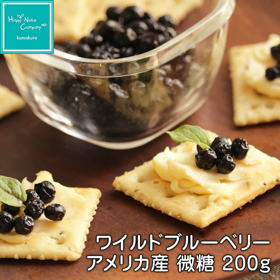アメリカ産 ワイルドブルーベリー 微糖