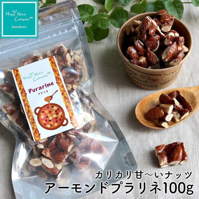 アーモンド プラリネ 100g ナッツ菓子 ナッツ ドライフルーツ ハッピーナッツカンパニー