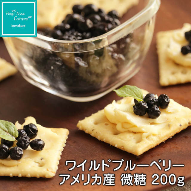 アメリカ産 ワイルドブルーベリー 微糖