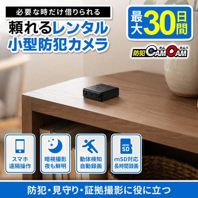 レンタル】小型防犯カメラ WiFi スマホ遠隔確認 超小型 11g 暗視撮影