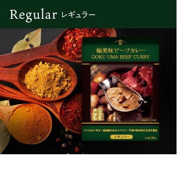 極美味ビーフカレー　＜レギュラー＞