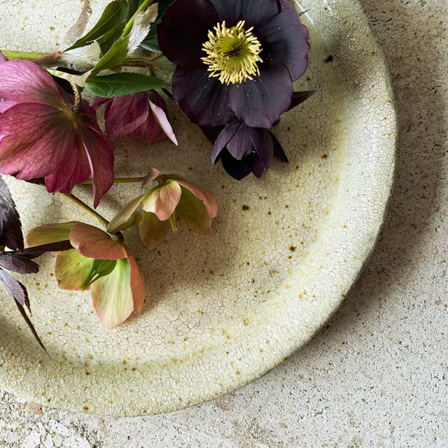 白ヒビ粉引き皿  // 馬渡新平