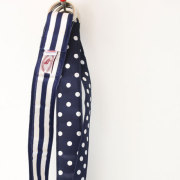 BARRONS HUNTER  Ribbon Bert