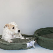 PUEBCO Vintage Tent Fabric Pet Bed